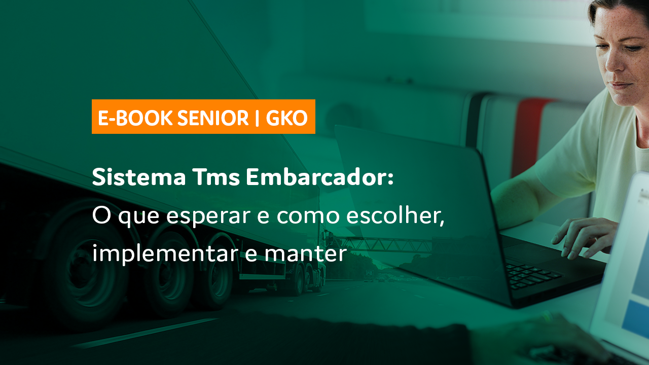 Tms Embarcador O Que Esperar E Como Escolher Implementar E Manter